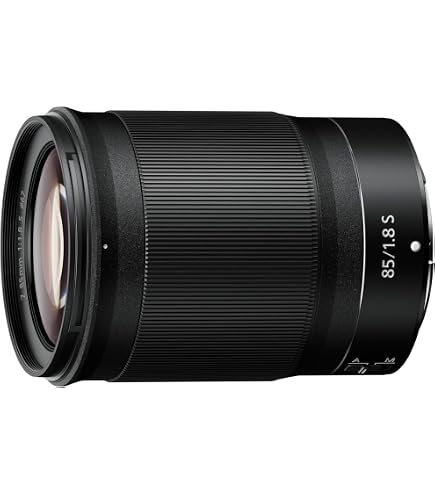 Nikon NIKKOR Z MC 105mm f/2.8 VR S Lens (Black) | 1 Magnification
